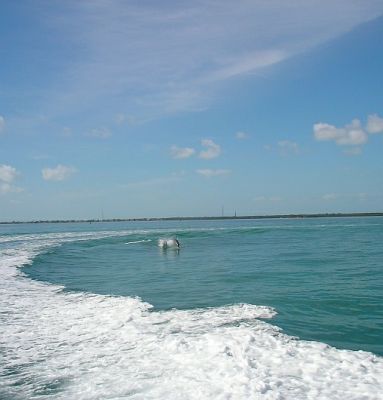 2009-01-11+12_38_55.JPG