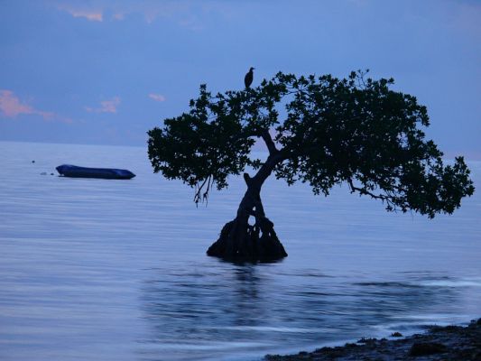 Long Key (kurz nach) Sonnenuntergang
