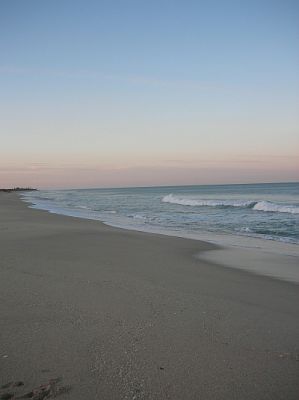 2009-01-19+17_38_44.JPG