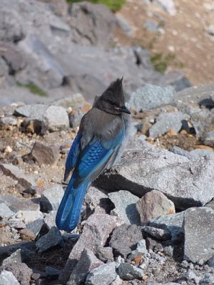 2010-08-29+10_47_49.jpg