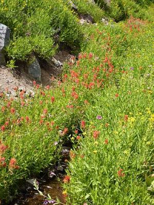 2010-08-29+13_41_54.jpg