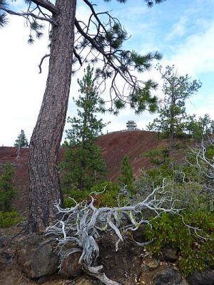2010-08-31+14_28_12.jpg