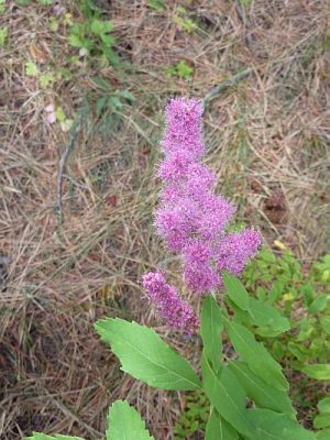 2010-08-31+15_12_04.jpg