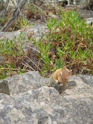 2010-08-31+15_34_01.jpg