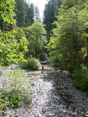2010-09-04+12_48_42.jpg