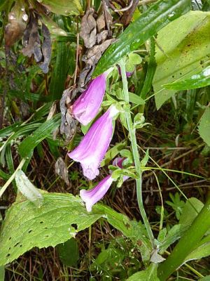 2010-09-07+15_28_23.jpg