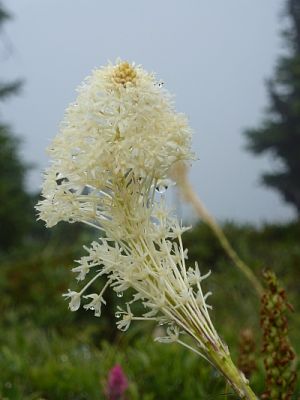 2010-09-10+11_51_45.jpg
