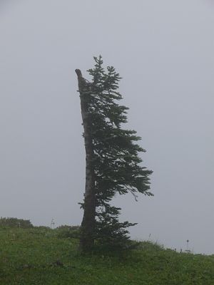 2010-09-10+11_52_32.jpg