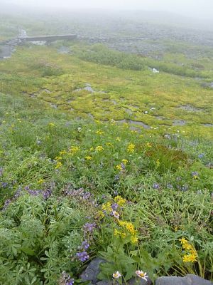 2010-09-10+12_01_31.jpg