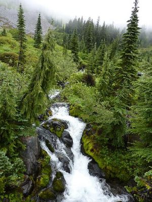 2010-09-10+12_34_30.jpg