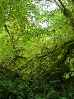2010-09-17+16_32_54.jpg