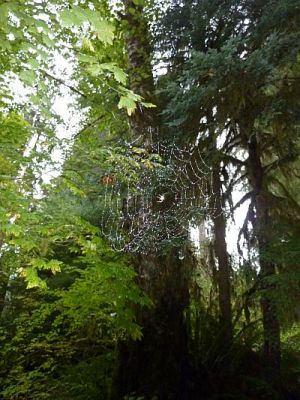 2010-09-17+16_53_16.jpg