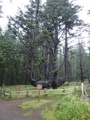 2010-09-19+15_57_15.jpg