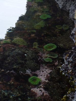 2010-09-20+15_00_54.jpg
