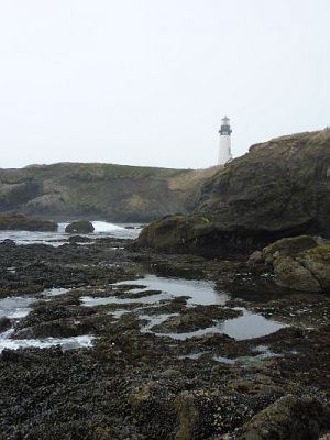 2010-09-20+15_13_00.jpg