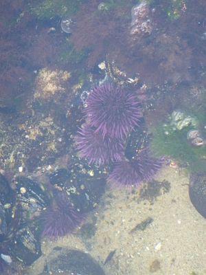 2010-09-22+09_08_45.jpg