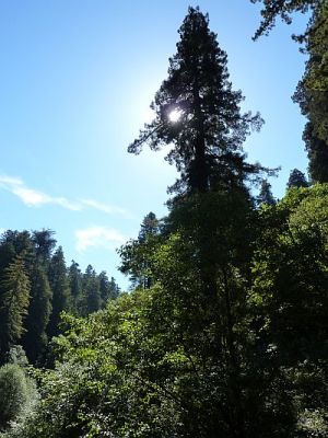 2010-09-24+11_51_37.jpg