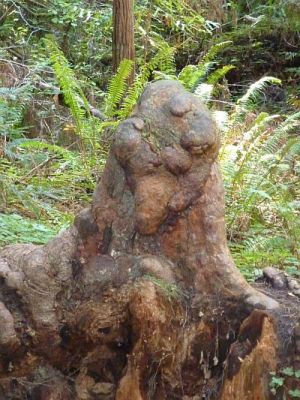 2010-09-24+12_37_25.jpg