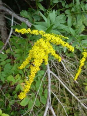 2012_09_06-11_46_29.jpg