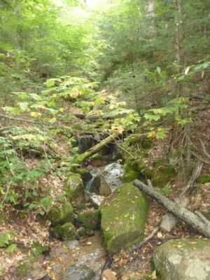 2012_09_08-09_58_28.jpg