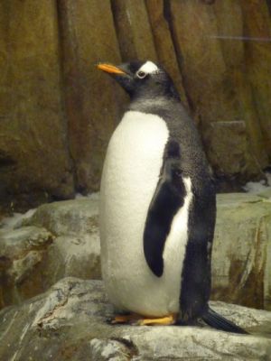 2012_09_21-11_47_21.jpg