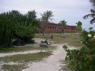 2009-01-13+15_32_35.JPG