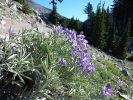 2010-08-27+08_49_30.jpg