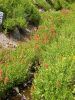 2010-08-29+13_41_54.jpg