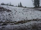 2010-08-30+09_10_59.jpg