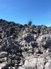2010-08-31+10_57_19.jpg