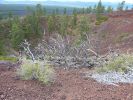 2010-08-31+14_26_45.jpg