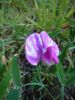 2010-09-04+10_37_55.jpg