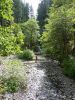 2010-09-04+12_48_42.jpg