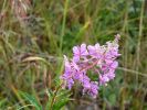 2010-09-07+13_06_13.jpg