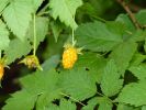 2010-09-08+12_49_48.jpg