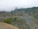2010-09-08+15_08_25.jpg