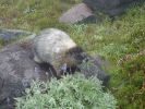 2010-09-10+10_42_07.jpg