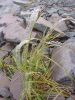 2010-09-10+11_01_53.jpg