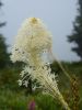2010-09-10+11_51_45.jpg