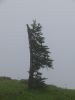 2010-09-10+11_52_32.jpg