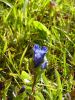 2010-09-11+15_36_32.jpg
