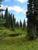 2010-09-11+16_03_15.jpg