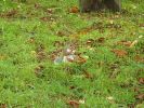 2010-09-14+12_39_49.jpg