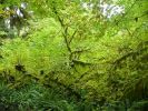 2010-09-17+16_32_44.jpg