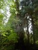 2010-09-17+16_53_16.jpg