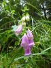 2010-09-19+12_33_49.jpg