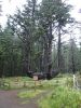 2010-09-19+15_57_15.jpg