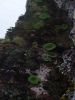 2010-09-20+15_00_54.jpg