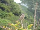 2010-09-20+17_07_46.jpg