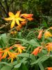 2010-09-23+13_41_59.jpg